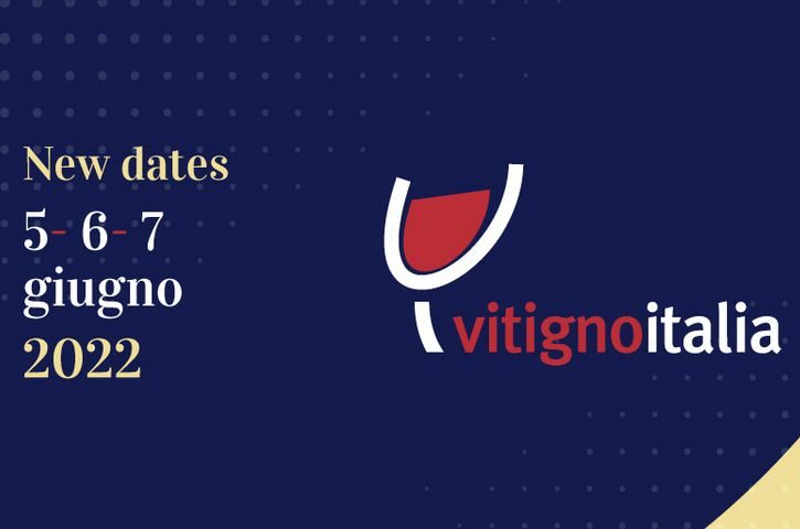 cropped vitigno 3