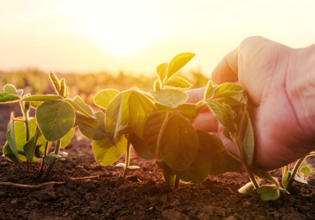 Biodiversità